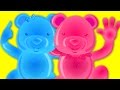 Head Shoulders Knees And Toes | Nursery Rhymes From Jelly Bears