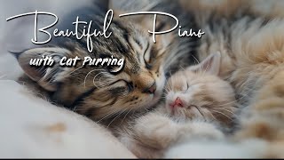 Beautiful Piano with Cat Purring  for sleeping, studying or relaxation