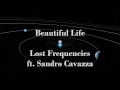 Lost Frequencies - Beautiful life (lyrics)