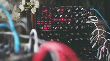 Ambient synth jam Moog subharmonicon, dfam & Mother 32 plus valhalla supermassive