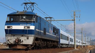 【甲種輸送】8862レ EF210-901+東武鉄道 スペーシアX N100系 N103F+N104F