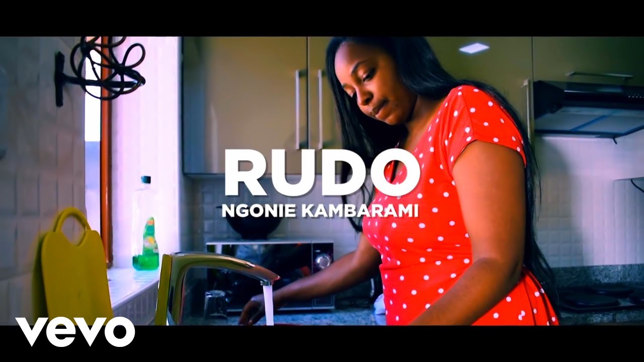 Ngonie kambarami   Rudo Official Video