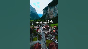 ماهر المعيقلي - سورة آل عمران ( برواية حفص عن عاصم ) الأية 175