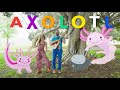 Axolotl by Trees of Dreams | Educational Songs for Kids and Families
