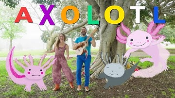 Axolotl by Trees of Dreams | Educational Songs for Kids and Families