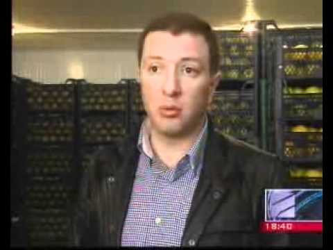 მაღალტექნოლოგიური  მეურნეობა