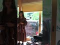 Blue Nile リハーサル 2026.5.8 バイオリン #03