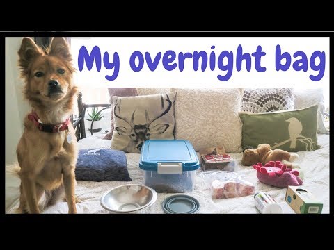 what's-in-my-dog's-overnight-bag?-|-inruffcompany.com