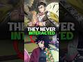 These Demon Slayer Characters Never Interacted in Series! Demon Slayer #shorts