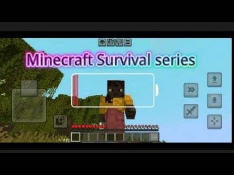 Minecraft survival let's play 1