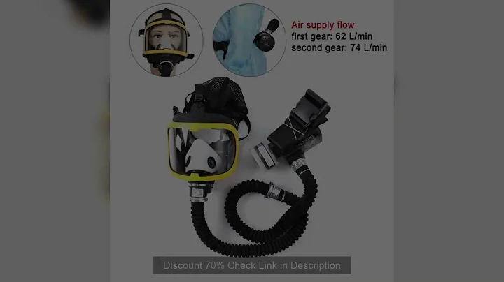 Protective Electric Constant Flow Supplied Air Fed Full Face Gas Mask respirator Mask Workplace Safe