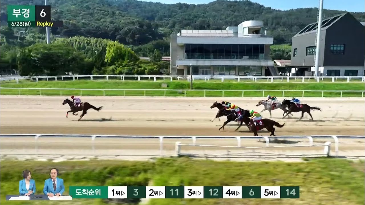 [더비온 동시 Live] 6월 28일 (일) 부경 6R [OWNER'S CUP(G3)] 해설중계 라이브!