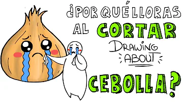 ¿Qué lado de la cebolla provoca lágrimas?