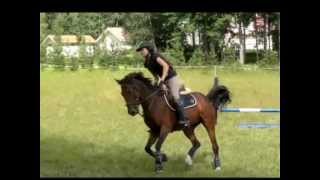 20.7.2012 Maastoesteitä Zelid Rise Belladonna Ii