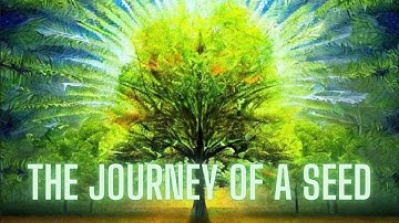 The Journey of a Seed | Short Animated Inspirational Story