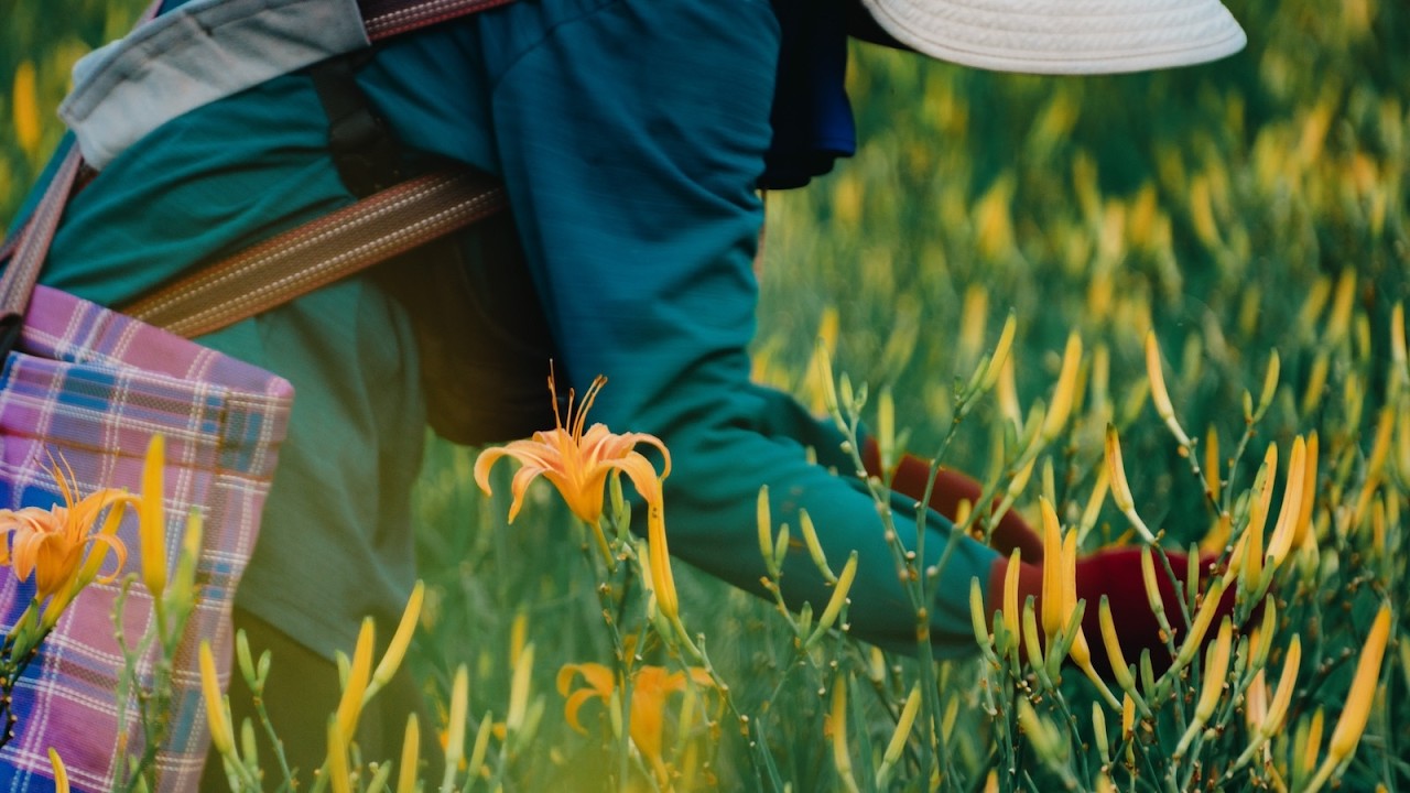 We Bloom! A Cinematic Portrait of Hualien