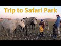 Trip to Russian Safari Park.  Russian Countryside & Pelmeni Dinner