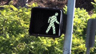 Anti Cell Phone And Driving Psa