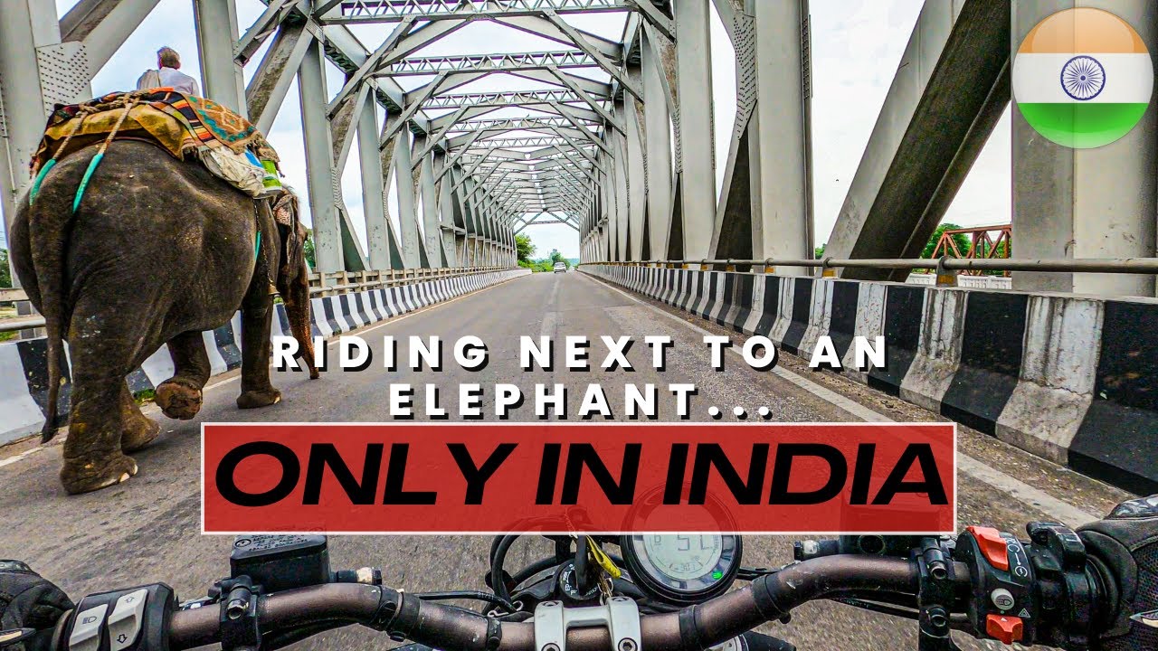 Riding alongside an ELEPHANT on the ride from Manali to Chandigarh