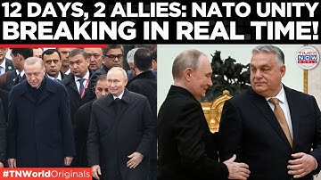 NATO UNITY SHATTERS: Orban, Erdogan Defy EU On Putin & Independent Foreign Policy | Times Now World