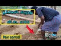 Anti Termite treatment in Basement  | Termite control Method  | pest control