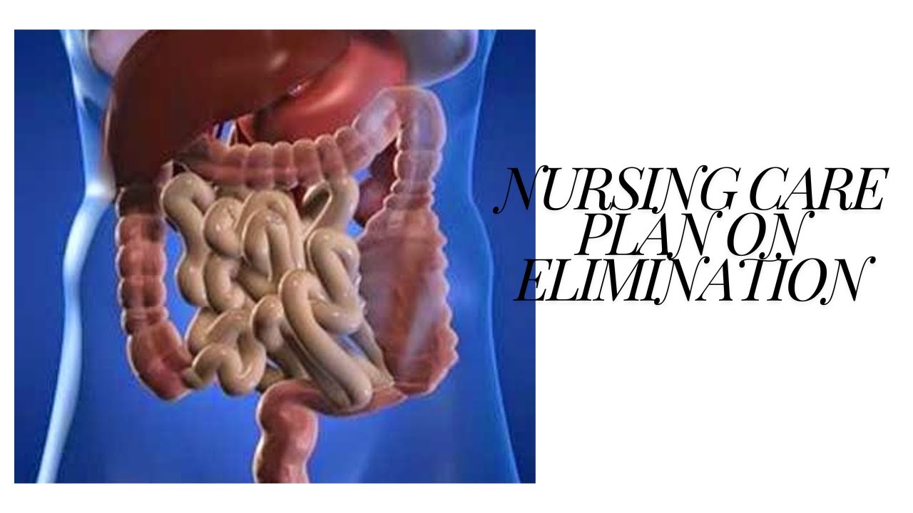 NURSING CARE PLAN ON ELIMINATION - YouTube
