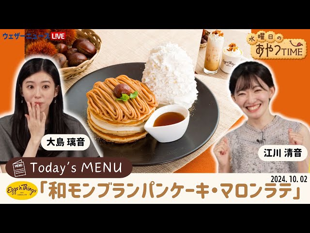 モ【毛皮】尻当て　ラクーン白　46×31 日本製 モ【毛皮】尻当て ラクーン白 46×31 日本製 【公式通販】