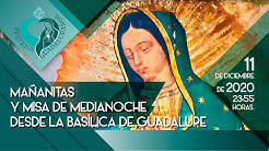 Desde-la-fe-Ma-anitas-a-la-Virgen-de-Guadalupe-y-Misa-de-medianoche-desde-la-Bas-lica-2020
