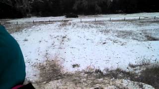 DJ Sledding