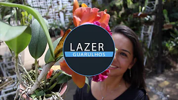 O que fazer em Guarulhos sábado à noite?