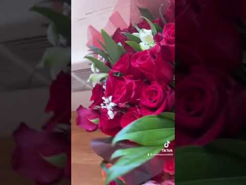 Turkish song and Arabic song beautiful flower Tiktok