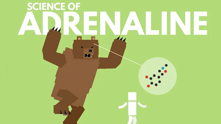 The Science of Adrenaline
