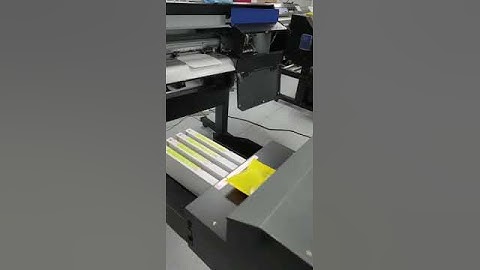 New Head Installation on Roland TrueVIS SG 300 Wide Format Large Printer For Plotting and Commercial