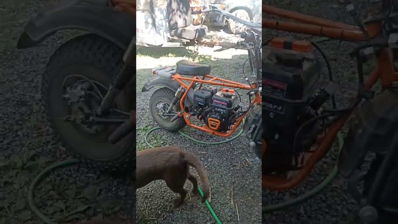 Скаут сафари 3 