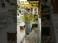 do setelah wudlu #wudlu #doa #nasehatislami #likesharesubscribe