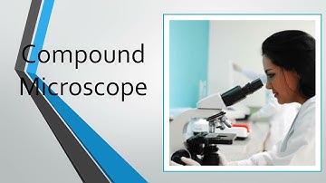 Grade 7 Science - Correct Use Of Microscope