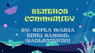 Benthos Community Hadal Zone