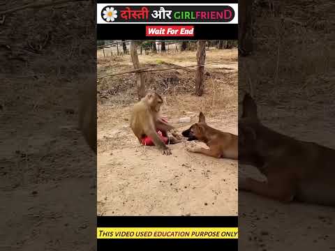 दोस्त की girlfriend😯~mini wood toy-woodworking art skills/hand crafts #shorts