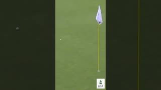Rickie Fowler's Incredible Shot Sets Up 11 Footer for Birdie at Rocket Classic 2023 #Shorts