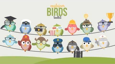 Explainer Birds Toolkit After Effects Template Project Files
