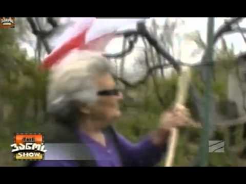 რა დროშა მოგვცა მიშამა