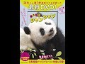 【紹介】まるごとシャンシャン DVD