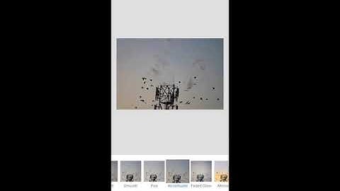 Silhouette editing using snapseed