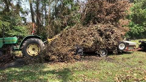 Unloading a trailer full of limbs the easy way.