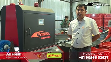 All Fresh Kinnaur Appreciates Marsh Harrier Apple Grading Machine