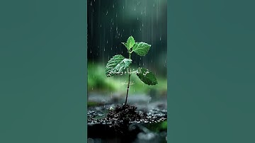 #quran #تلاوة_خاشعة #المصحف 🌼 راحة وسكينة لكل من يسمع ان الصلاه تنهي عن الفحشا والمنكر  #اكسبلور #
