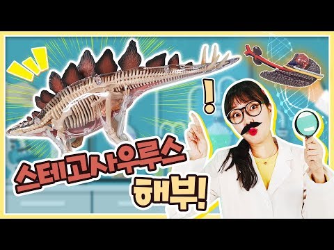 공룡 해부 <strong>놀이</strong> 공룡뼈는 어떻게 생겼을까? <strong>유아</strong> 자연 <strong>학습</strong> 장난감 [유라]