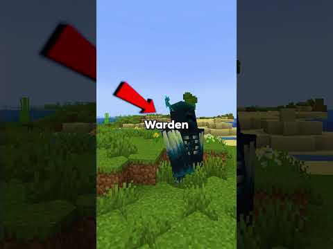 Minecraft'ta yaratıklar ne görüyor? 🤨