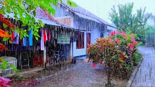 Walk in Very Heavy Rain | Heavy Rain All Day in a Beautiful Village | ASMR, Rain Sounds for Sleeping