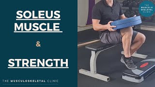 Strengthening the soleus muscle and why you should do it heavy | The MSK Physio
